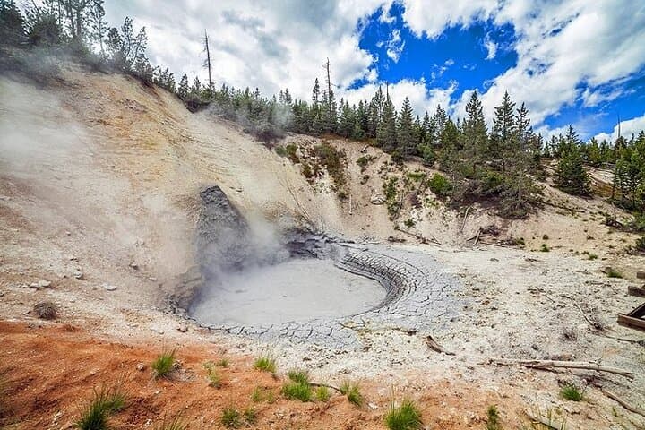 Yellowstone Lower Loop VIP: Full-Day Private Tour to Old Faithful, Grand Prismatic & Hayden Valley photo 3