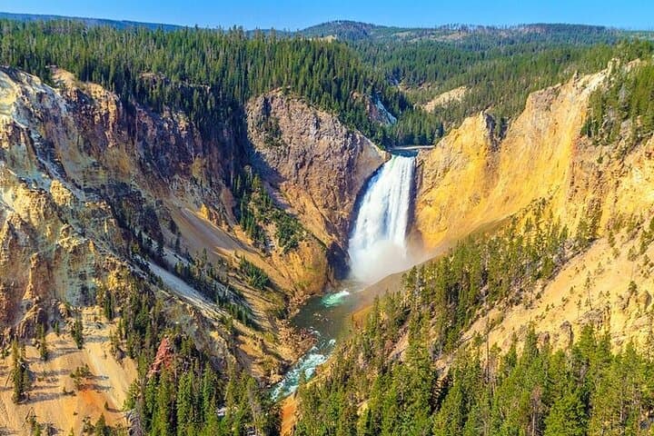 Yellowstone Lower Loop VIP: Full-Day Private Tour to Old Faithful, Grand Prismatic & Hayden Valley photo 5