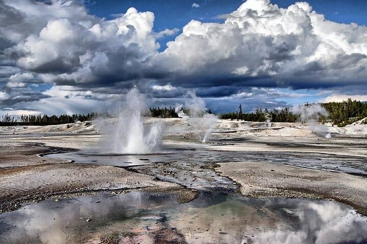 Yellowstone Lower Loop VIP: Full-Day Private Tour to Old Faithful, Grand Prismatic & Hayden Valley