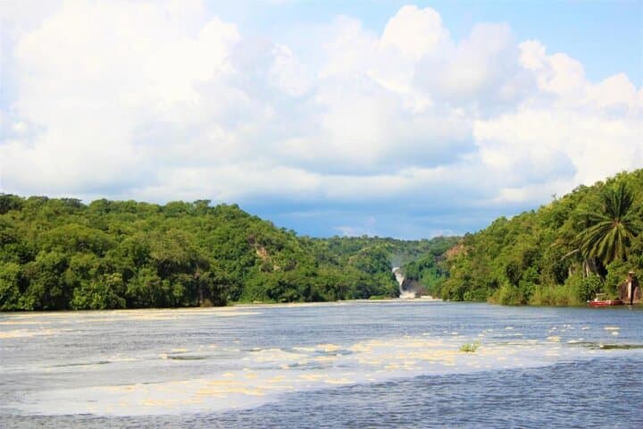 3-Day Murchison Falls Safari & Rhino Tracking — Uganda Wildlife Adventure photo 5