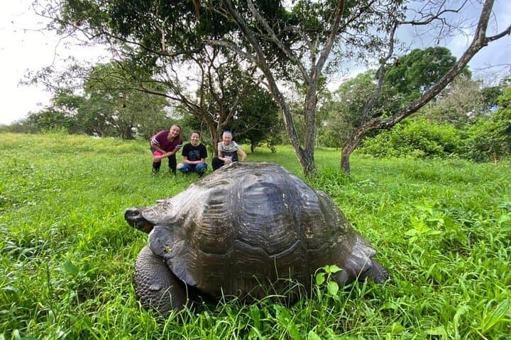 5-Day Galapagos Luxury Island Hopping: Snorkeling, Tortoises & Los Túneles