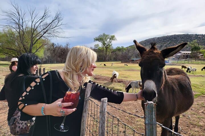 Private Sedona Wine and Brewery Tour: Page Springs Vineyards & Alcantara photo 4