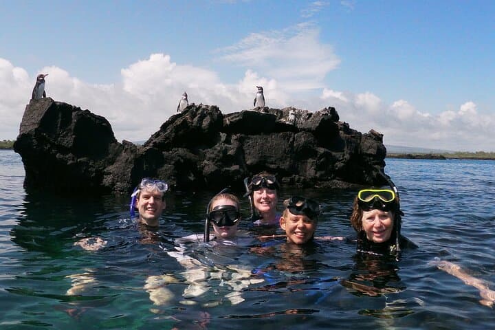 Galapagos Island Hopping: 5-Day Isabela & Los Tuneles Adventure photo 3