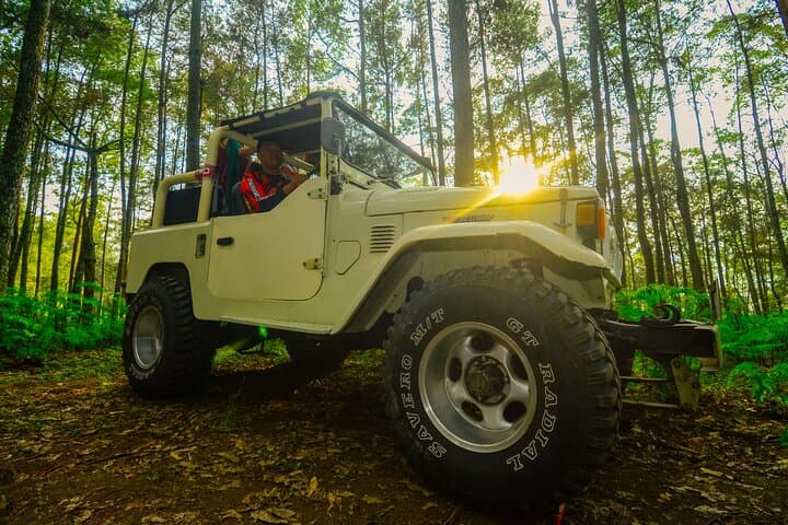 Sunrise Summit: Mount Batur Jeep Trek, Crater Walk and Hot Springs photo 3