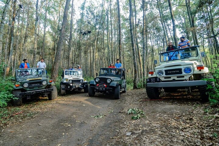 Sunrise Summit: Mount Batur Jeep Trek, Crater Walk and Hot Springs photo 4