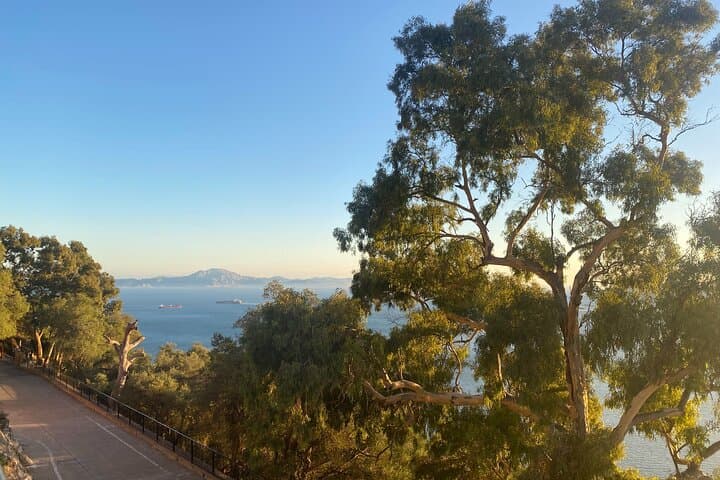 Full-Day Gibraltar Premium Guided Tour: Rock, Caves & Barbary Macaques photo 6
