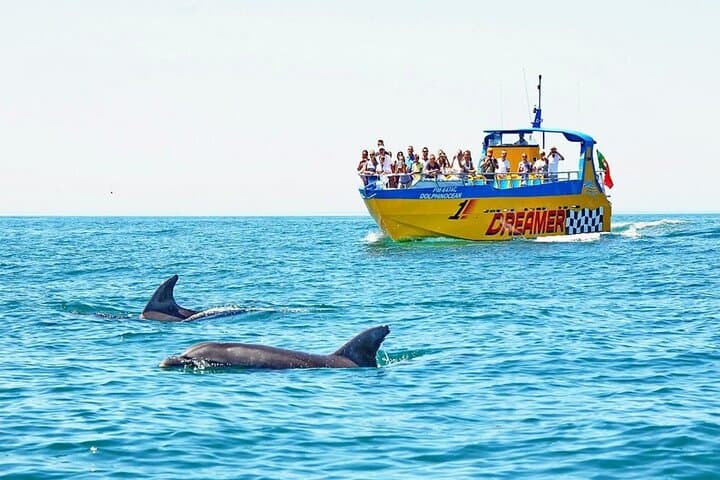 Dreamer Cave & Dolphin-Watching Boat Tour from Albufeira — Algarve Coastal Cruise photo 1