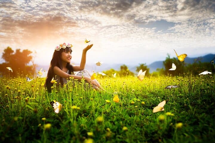 Dubai Butterfly Garden: Skip-the-Line Ticket with Transfer — Visitor Guide