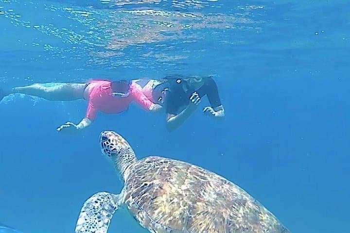 São Pedro Experience: Hike, Beach & Snorkel with Turtles on São Vicente photo 1