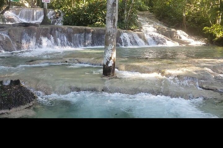 Dunn's River Falls Climb & Beach Experience from Montego Bay photo 6
