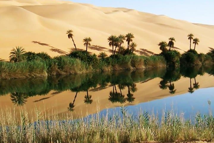 2-Day White & Black Deserts Tour with Bahariya Oasis — Cairo Desert Camping and Sandboarding photo 5