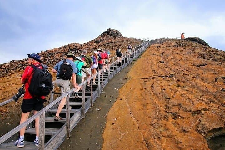 5-Day Galapagos Top II: Island-Hopping Bartolomé, North Seymour & Pinzón from Puerto Ayora photo 4