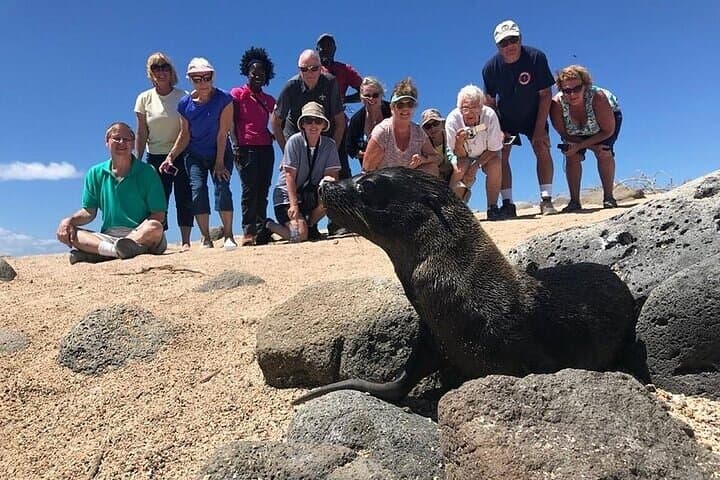 5-Day Galapagos Top II: Island-Hopping Bartolomé, North Seymour & Pinzón from Puerto Ayora photo 5