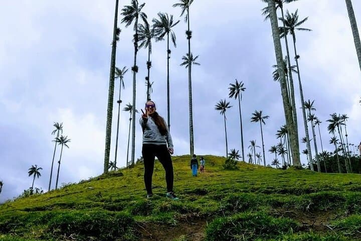 Hike Cocora Valley & Salento: Wax Palms, Coffee Farms, and Andean Trails photo 2