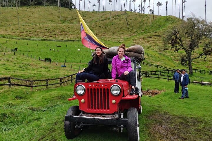 Cocora Valley Hike & Salento Day Tour — Wax Palms, Coffee Farms, Andes Trails photo 3