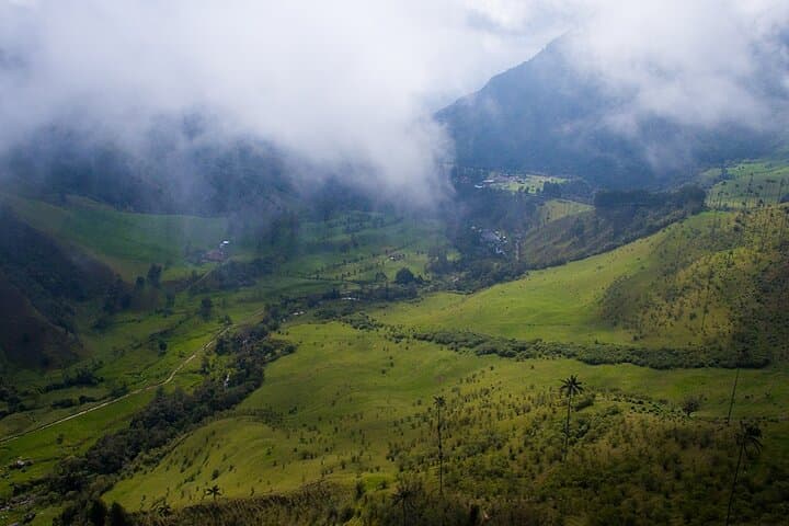 Hike Cocora Valley & Salento: Wax Palms, Coffee Farms, and Andean Trails photo 6