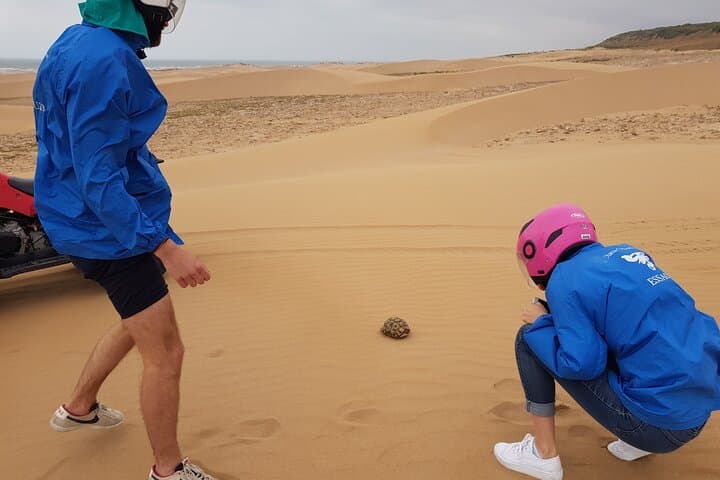 Essaouira 2-Day Quad Adventure: Dunes, Wild Beaches & Cape Sim