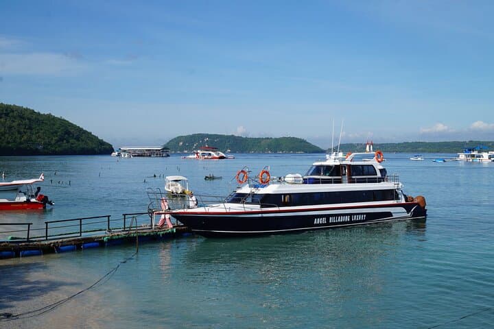Nusa Penida Day Trip: Kelingking, Broken Beach & Crystal Bay Highlights photo 6