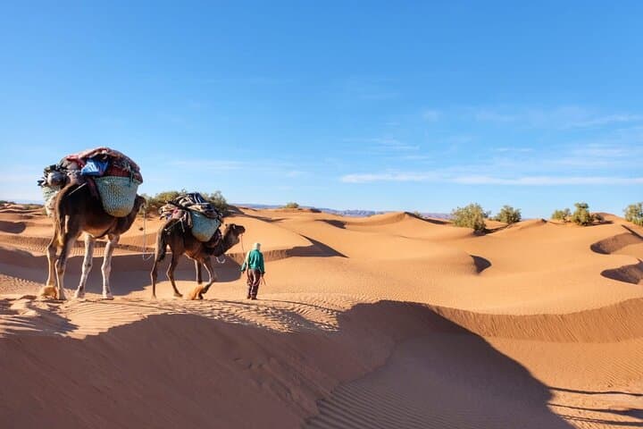 7 Days Sahara Desert Wonders Trek — Marrakech to M'Hamid Desert Trekking photo 3