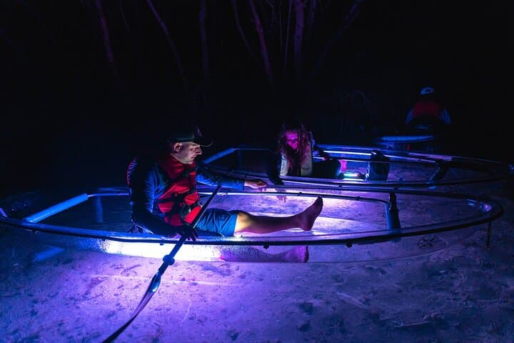 Shell Key Clear Kayak Glow Tours: Sunset & Night Paddle in Madeira Beach photo 2