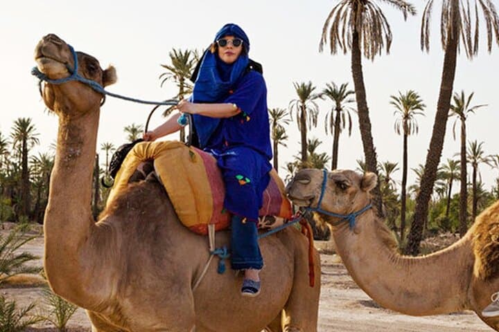 Camel Ride in Marrakech Palmeraie: 1-Hour Private Experience with Mint Tea photo 2