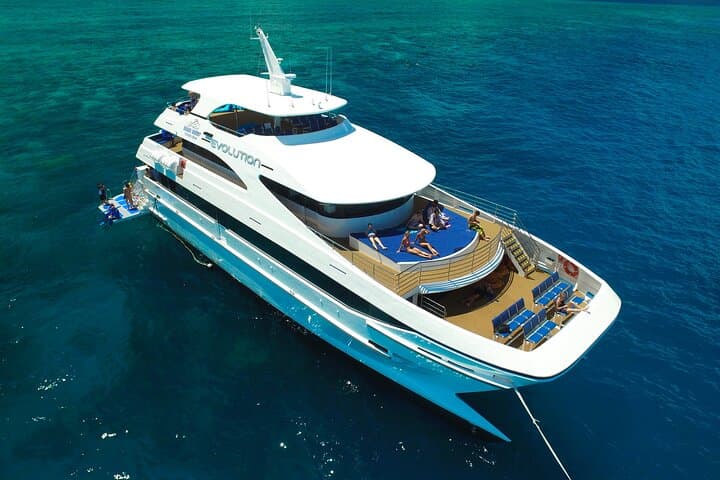 2 Day Great Barrier Reef & Daintree Rainforest: Cape Tribulation 4WD and Outer Reef Snorkel photo 5