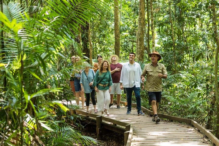 2 Day Great Barrier Reef & Daintree Rainforest: Cape Tribulation 4WD and Outer Reef Snorkel photo 6