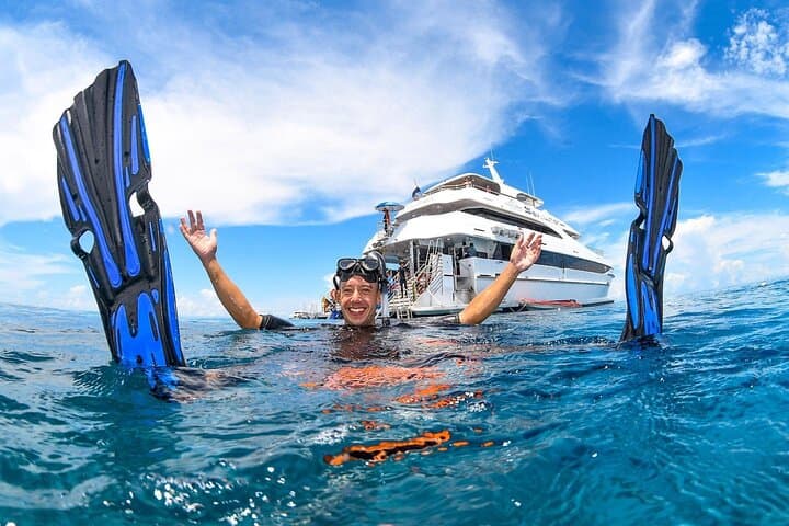 2 Day Great Barrier Reef & Daintree Rainforest: Cape Tribulation 4WD and Outer Reef Snorkel photo 2