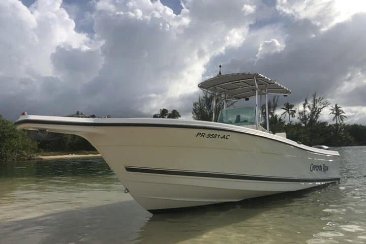 Private boat trip to Palomino & Cayo Icacos from Fajardo