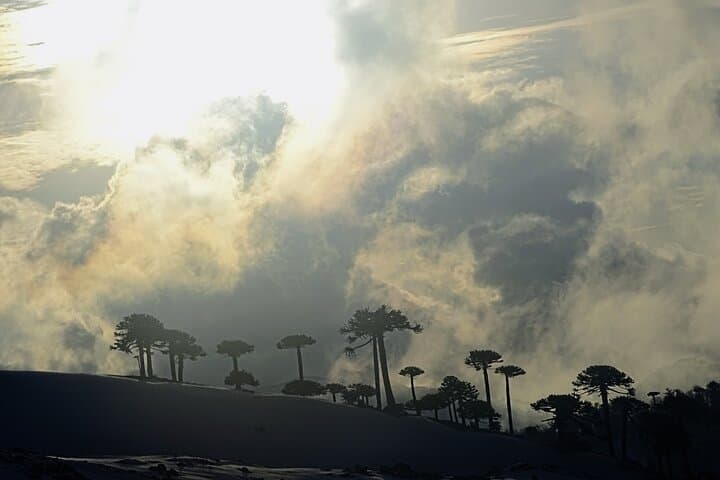 Sollipulli Volcano Guided Ascent: Summit South America's Largest Crater photo 6