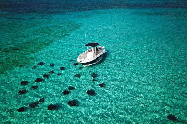 Half-Day Private Boat Charter in Grand Cayman — Stingray Sandbar, Snorkel & Starfish Point photo 3