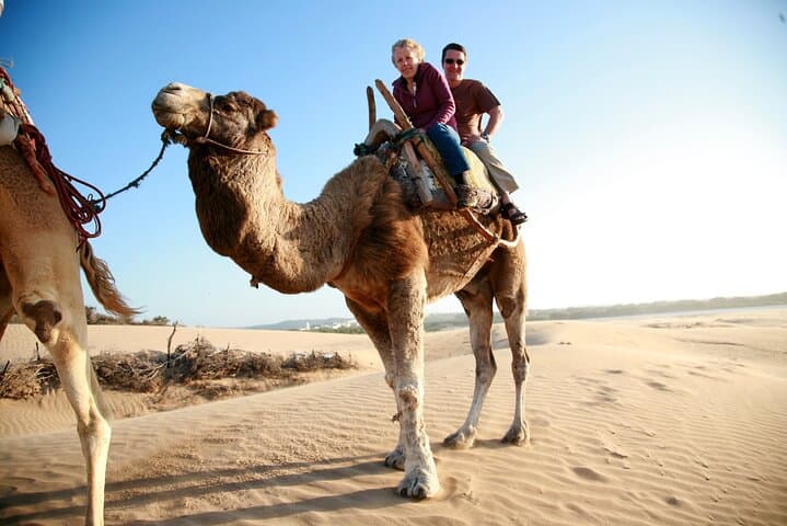 Paradise Valley & Sunset Camel Ride from Agadir — Half-Day Tour photo 3