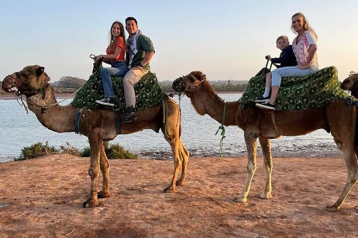 Camel Riding in Agadir: Sunset Dunes & Souss River Eucalyptus Trail