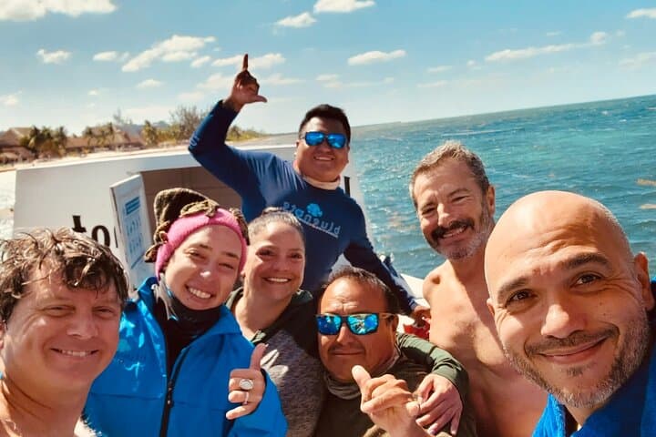 Cozumel Two‑Tank Morning Dive: Drift Reefs, Turtles & the Splendid Toadfish photo 4