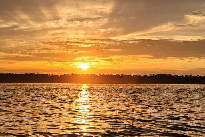 Private Dolphin Boat Tour in Hilton Head Island — Calibogue Sound Close Encounters photo 4