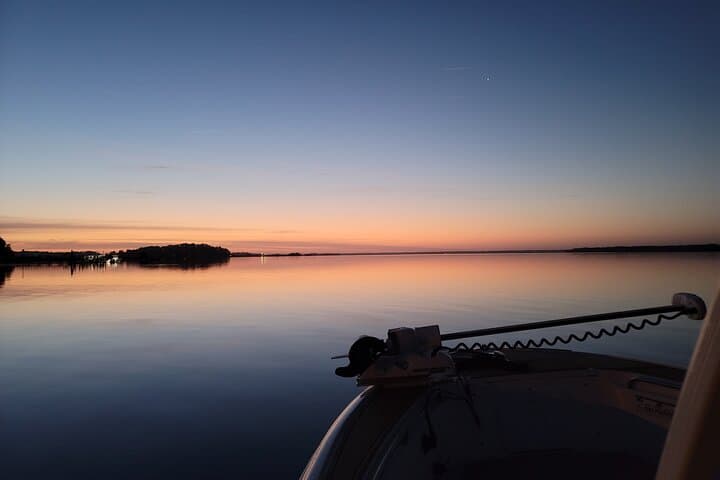Private Dolphin Boat Tour in Hilton Head Island — Calibogue Sound Close Encounters photo 5