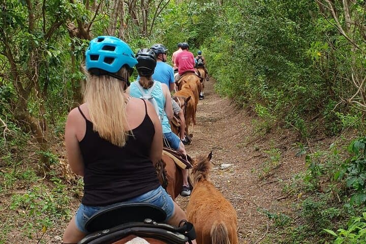 Horseback Riding to Sofa Stone: 3-Hour Nature Trail with Basseterre & Ocean Views