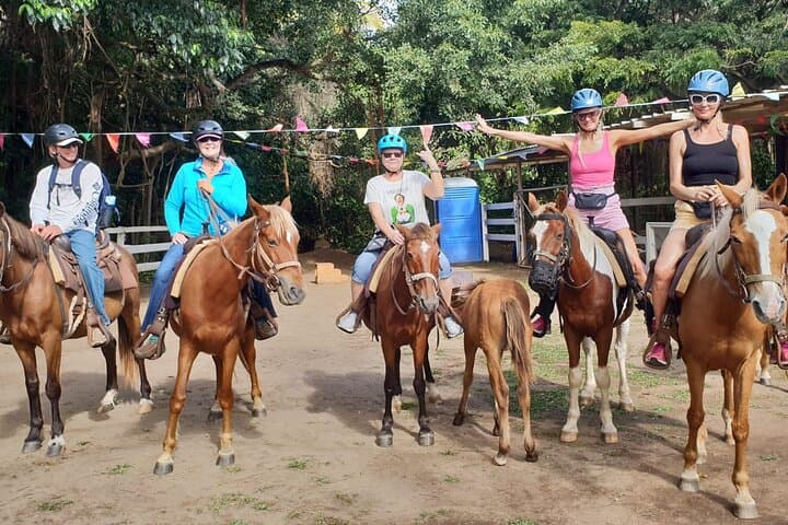 Horseback Riding to Sofa Stone: 3-Hour Nature Trail with Basseterre & Ocean Views photo 2