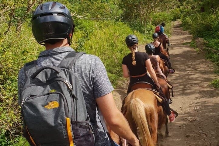 Horseback Riding to Sofa Stone: 3-Hour Nature Trail with Basseterre & Ocean Views photo 6