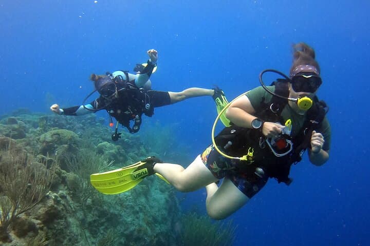Curacao Refresher Dive: Rediscover the House Reef and Scuba Skills photo 3