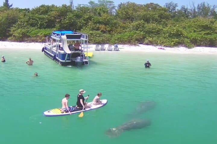 Siesta Key Private Funship: Dolphin Cruise & Sandbar Stops