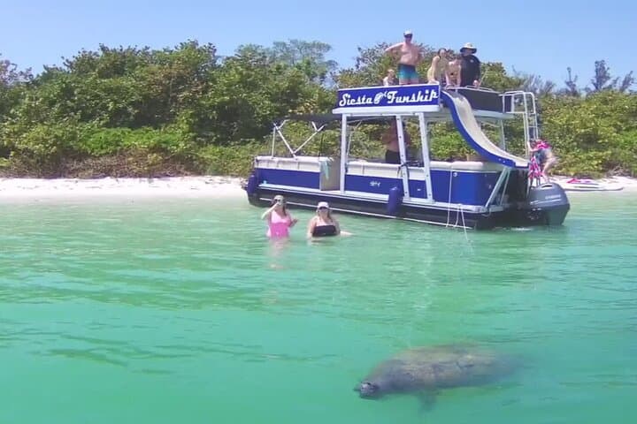 Siesta Key Private Funship: Dolphin Cruise & Sandbar Stops photo 2