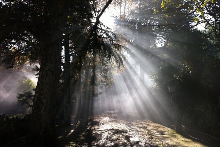 Private Sintra and Cabo da Roca Tour — Personalized Day Trip from Lisbon photo 3
