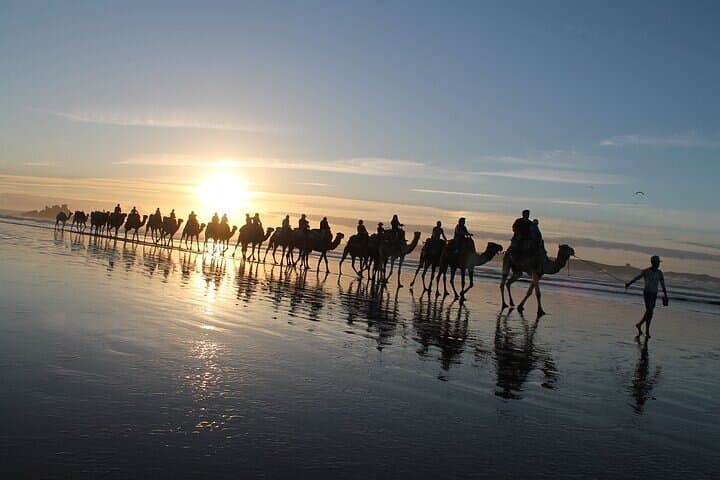 Essaouira Quad and Camel Combo: 2-Hour ATV Ride + 2-Hour Camel Trek from Diabat