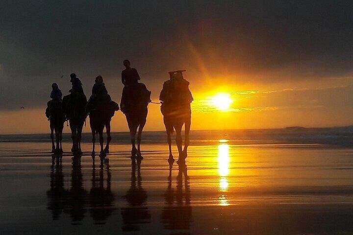 Essaouira Quad and Camel Combo — 1‑Hour Quad Ride + 1‑Hour Dromedary near Sidi Kaouki photo 1