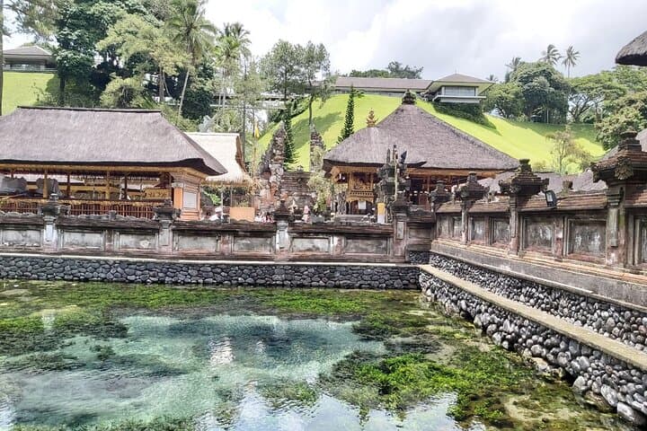 Ubud Day Tour: Rice Terraces, Tirta Empul & Hidden Waterfall Adventure
