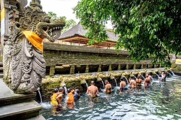 Ubud Day Tour: Rice Terraces, Tirta Empul & Hidden Waterfall Adventure photo 4
