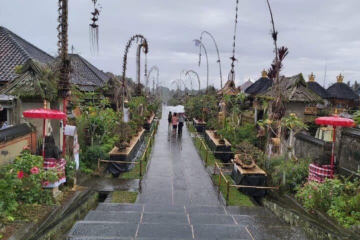 Ubud Day Tour: Rice Terraces, Tirta Empul & Hidden Waterfall Adventure photo 5