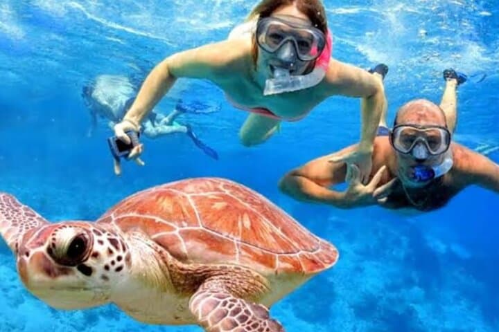 Padangbai Blue Lagoon & Tanjung Jepun: Private Snorkel Day Trip from Bali photo 5