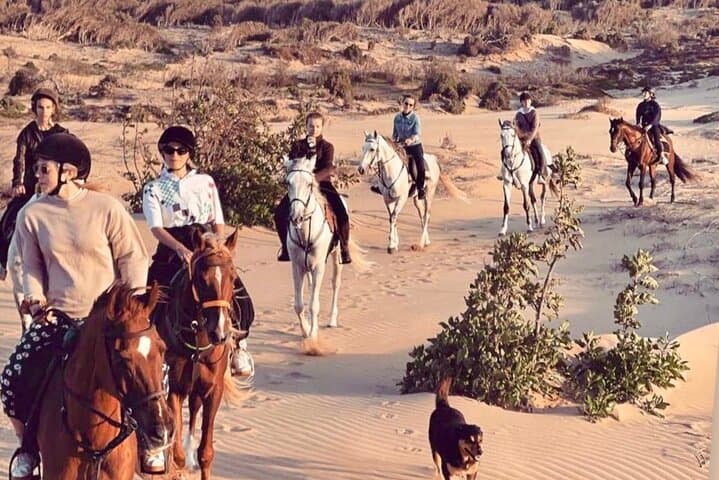 Essaouira Coast Horseback Ride: 5-Hour Beach, Dunes & Picnic Adventure photo 4